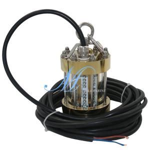 China Attracting Fish Lamp 480w wholesale