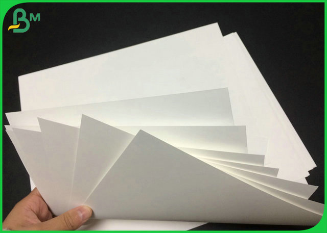 Waterproof 130Gr Thermal Synthetic Paper For Printing Thermal Desktop Printer