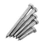DIN571 Galvanized Stainless Steel SS304 SS316 Hex Head Wood Screw Lag Bolt Coach