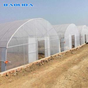 China 30m Length Single Span Plastic Sheeting Film Greenhouse For Tomato Cultivation wholesale