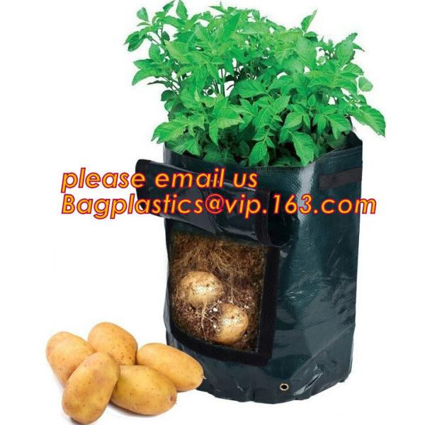 40 Gal Grow Biodegradable Garden Bags Aeration Fabric Pots Breathable With Handles