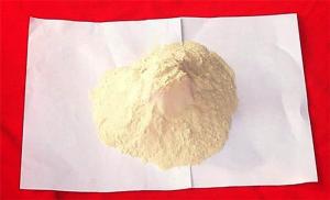 China High Protein Vital Wheat Gluten For Aquaculture Feedstuff Ingredient wholesale