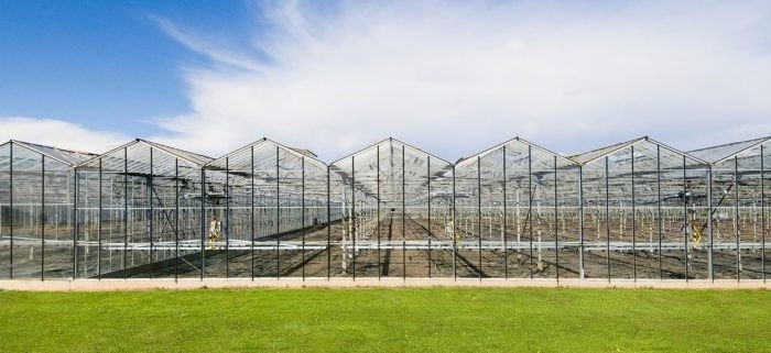 Automatic Control Intelligent Agricultural Glass Greenhouse For Sale Farm Cooling Shading Irrigation System