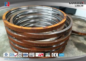 China Variable Pitch Alloy Steel Forgings Wind Power Generator Eccentric Bearing wholesale