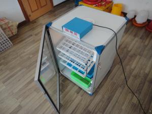 China Commercial Automatic Chicken Incubator 250 Eggs wholesale
