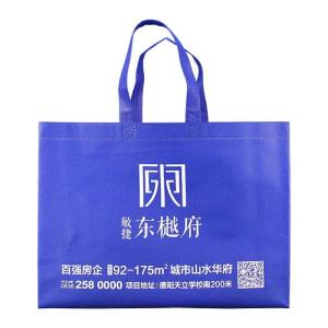 China Heat Transfer Non Woven Polypropylene Shopping Bags Blue Anti Pull wholesale
