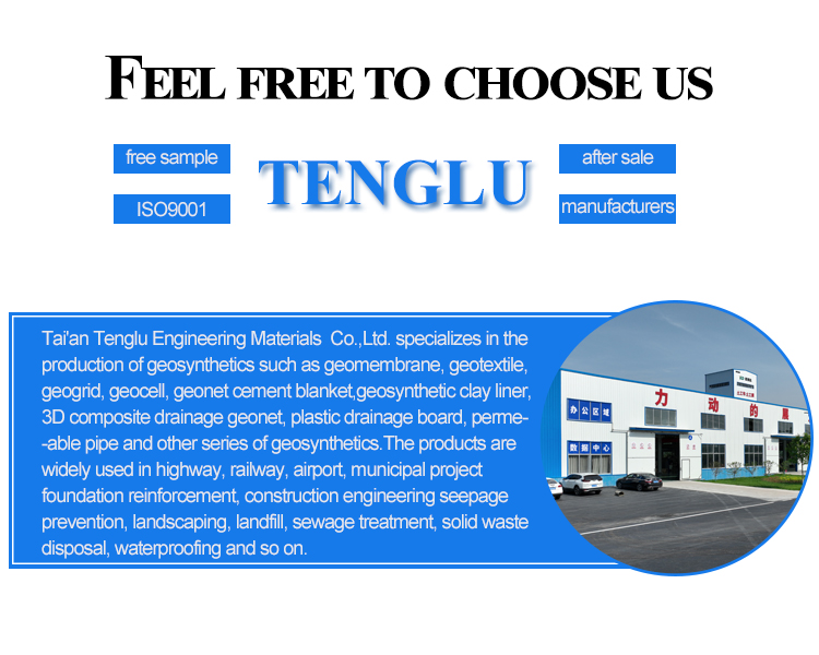 Highway Plastic Steel Uniaxial Geogrid with Good Performance and HDPE/PP Material