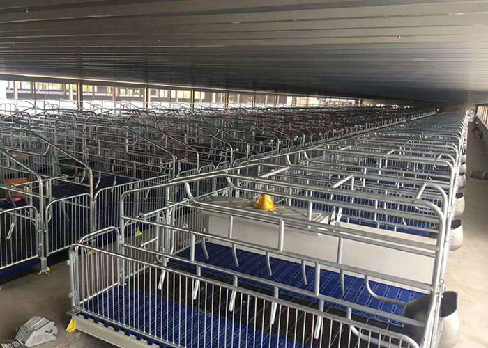 OEM ODM 304 Stainless Steel Farrowing Crates Swine Gestation Crates