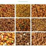 Automatic Pet Food Extruder Machine Staineless Steel