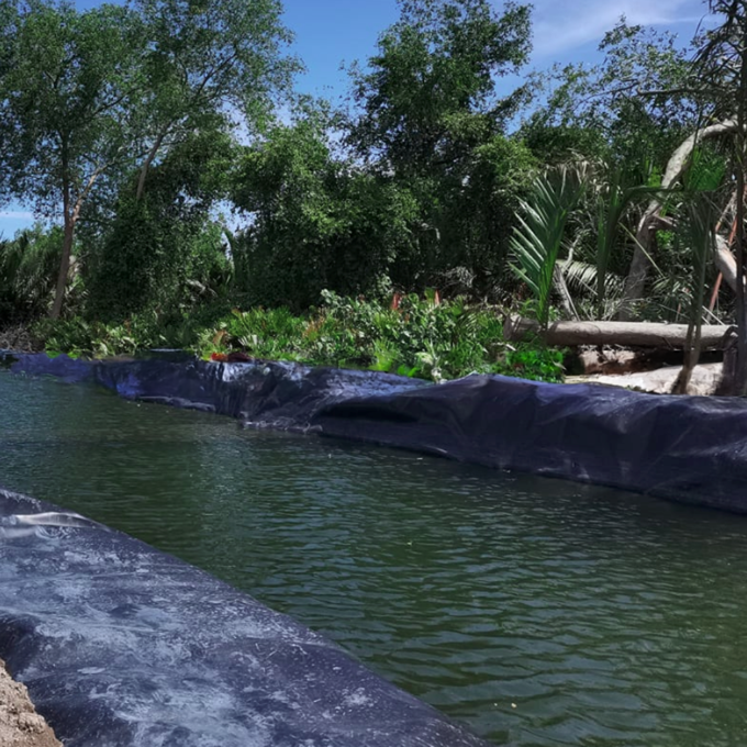 Traditional Design HDPE Geomembrane Smooth/Textured 1mm 1.5mm 2mm with Competitive