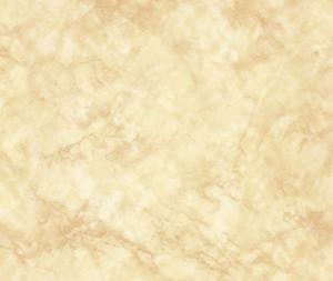 China marble color prepainted Steel Coil wholesale