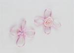 Bowknot Elastic Hair Bands