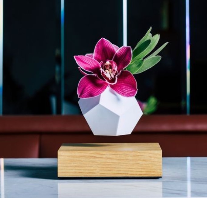 white pot magnetic levitation air bonsai, floating display plant pot tree
