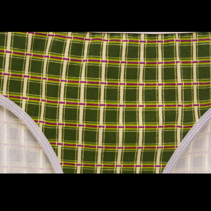 womens cotton brief panties