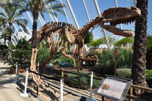 China Simulation Fiberglass Complete Dinosaur Fossil For Entertainment Park wholesale
