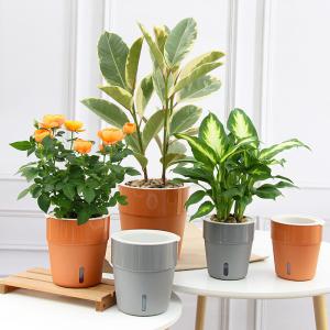 China 11cm Self Watering Houseplant Pots wholesale