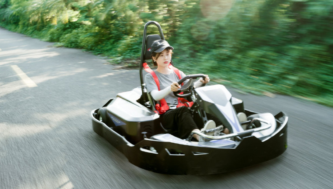 12Nm Single Motor Adult Go Karting 75Km/H Remote Control ISO9001