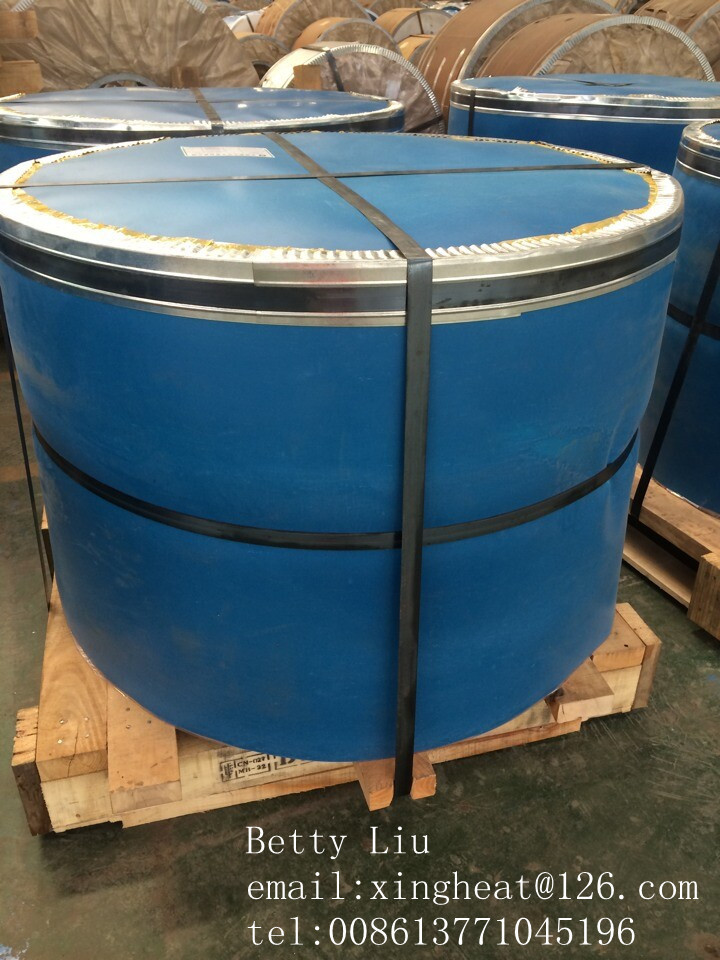 Tinplate Coil for Food and Beverage Cans Production 0.15-0.49mm Thickness 600-986mm Width 4-8MT per Coil