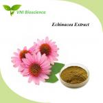 China Plant Echinacea Purpurea Extract Powder Natural Herbal Extract Anti Virus for sale