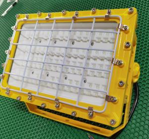 China Hazardous Area Lexplosion Proof Flood Light Manufacturers 50w To 250w wholesale