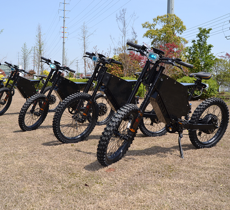 amazon hot selling 2020 Electric Bicycle best electric bike new bike