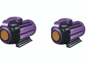 China Flameproof Permanent Magnet Intelligent Motor wholesale