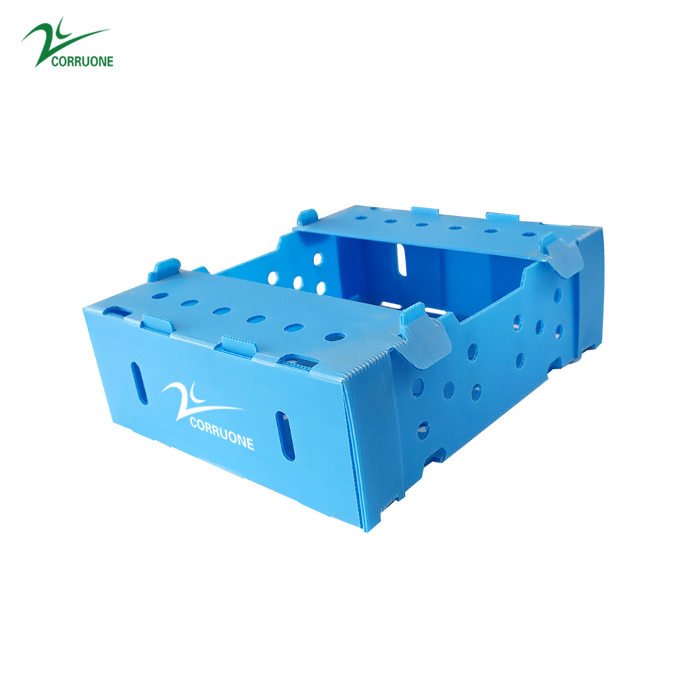 Black Corriflute Fruit Corrugated Boxes Corrugated Plastic Storage Containers