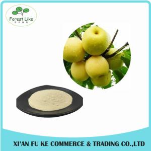 China Natural Sydney / Snow Pear Fruit Juice Powder wholesale