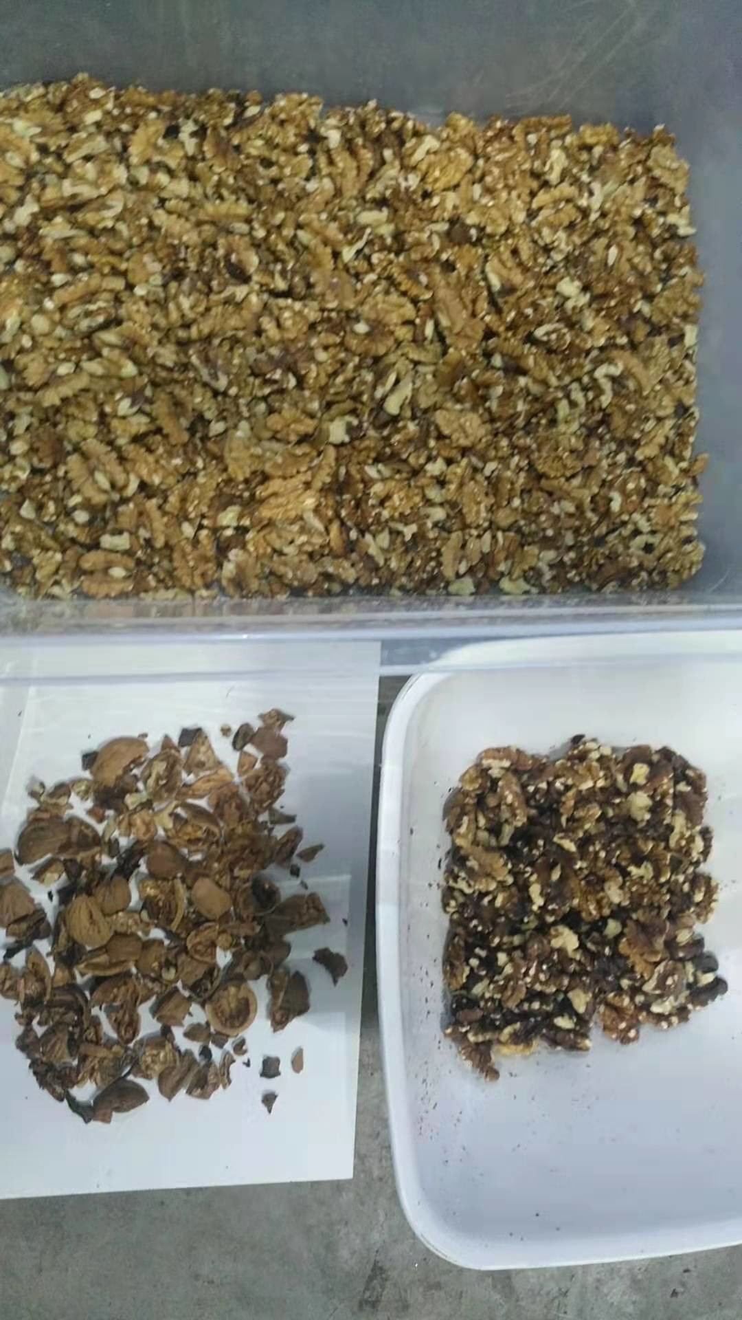 Automatic Walnut Color Sorter Processing Machine RGB Sorting Machine Cashew Nut Color Sorting Machine
