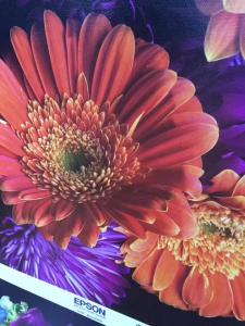 China 240g Inkjet Printable Canvas wholesale