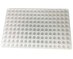 160 cells EPS styrofoam seedling tray