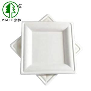 China Disposable Plant Fiber White Plates perfect for Birthday Parties wholesale