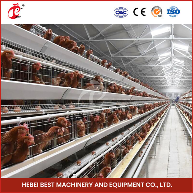 Reliable Chicken Battery Poultry Layer Cage 7 Tiers Iris