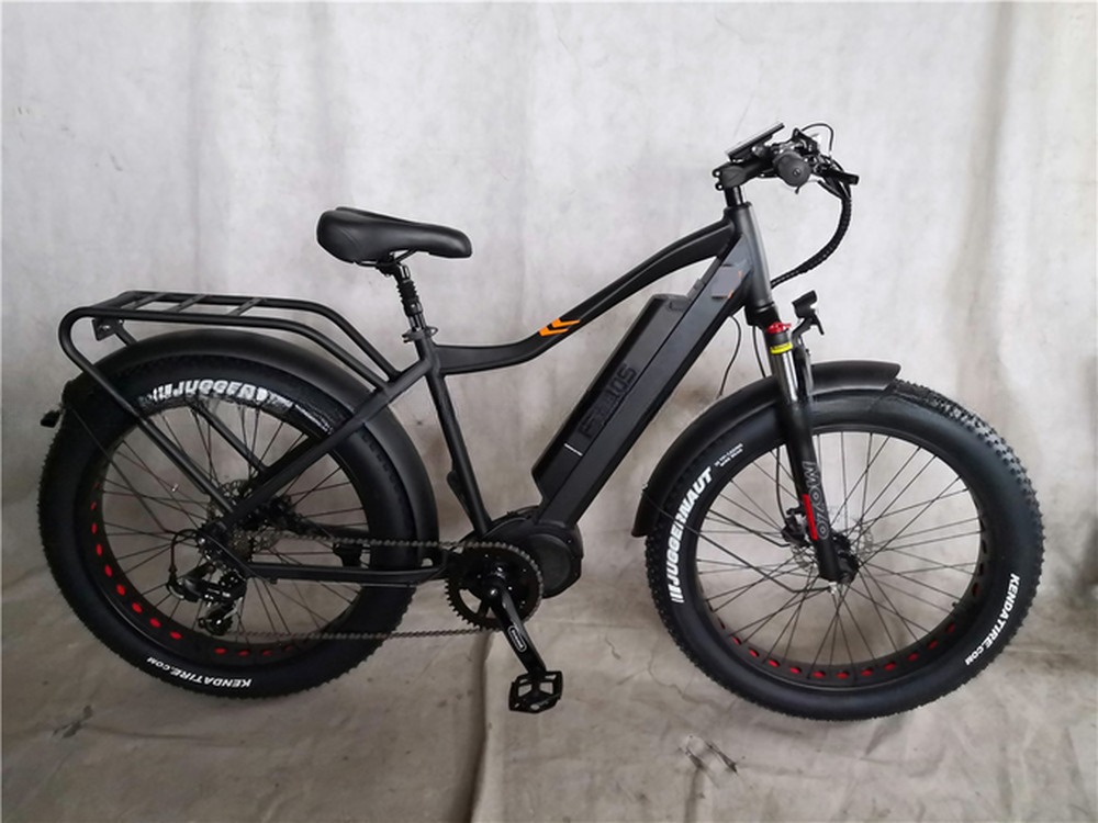 48V Electric Dual Motor 1000 Watt Long Range Fat Tire Cargo E-Bike with Fast Charging