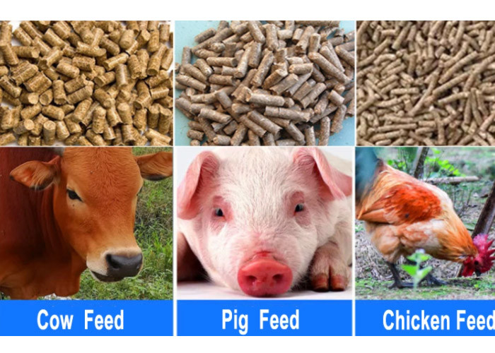 380V 90kg/h Cattle Feed Pellet Making Machine For Farm