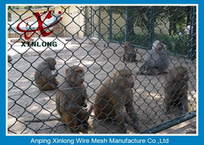 Low Carbon Steel Wire Diamond Chain Link Fence / Sports Ground Fencing