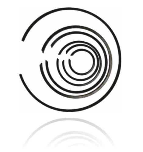 TEREX TRUCK PISTON RING /O RING /SEAL