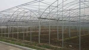 China Easy Install Plastic Film Greenhouse , Dome Shaped Greenhouse Span Width 6 / 8 / 10m wholesale
