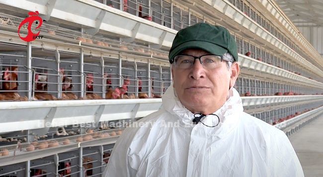 A H Type Full Automatic Poultry Farming Battery Cage System Star