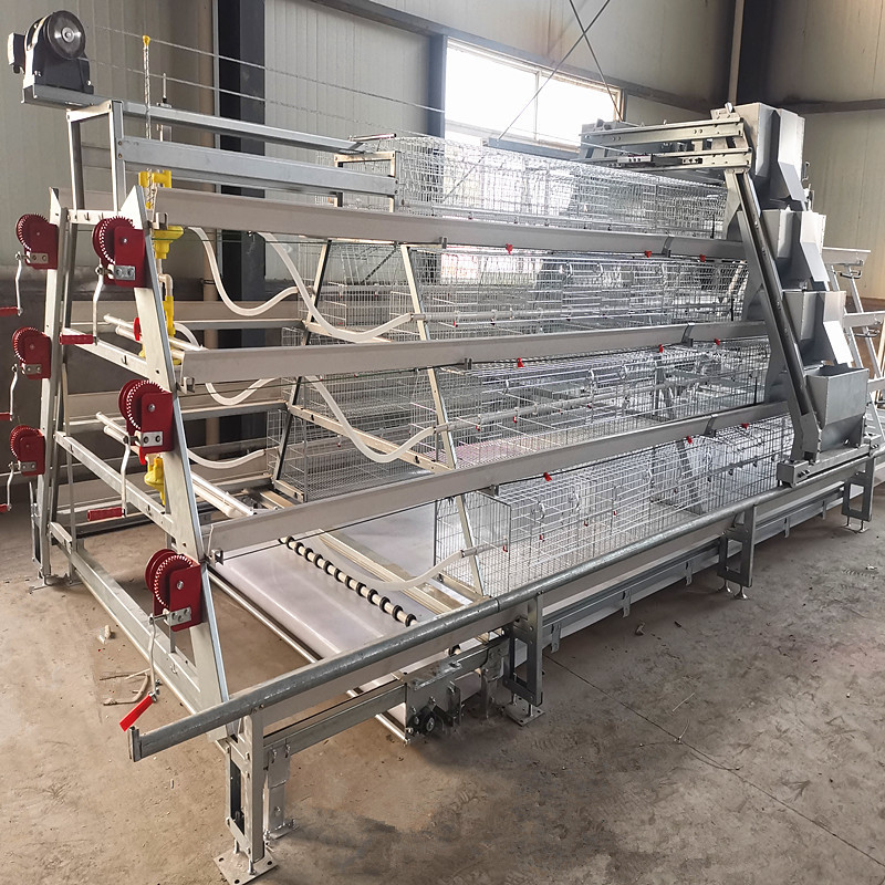A-type Baby Chicken Cage Made Of Q235 Steel With Hot-dip Galvanized Wire Mesh