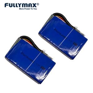 China 5000mAh 12.8V 45C 500A LiFePO4 Battery Vehicle Jump Starter Battery Lithium Portable wholesale