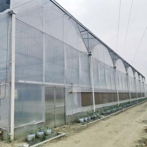 China Large Commercial Poly Film Arch Tunnel Multispan Type Tomato Hydroponics Greenhouse wholesale