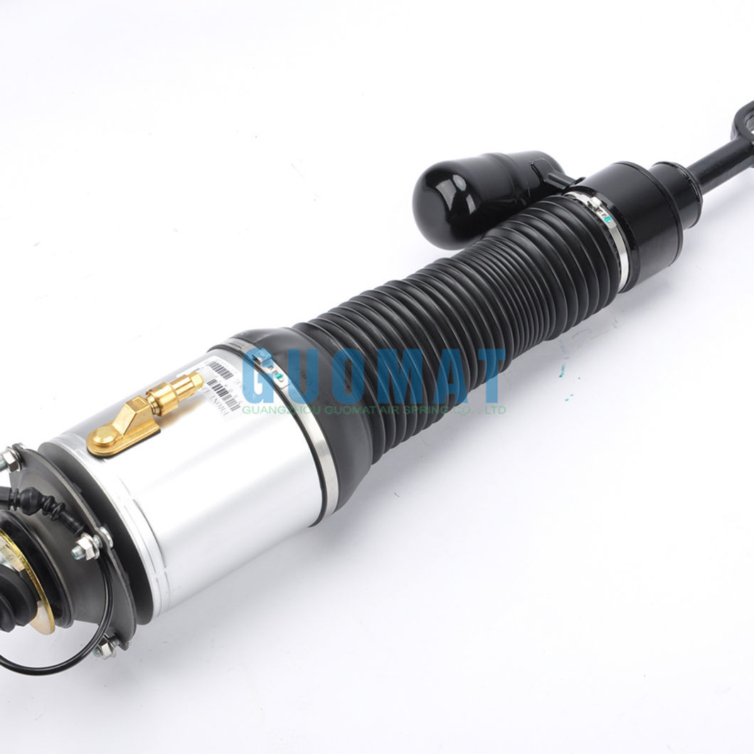 3D0616039 Front Left Air Suspension Spring for Volkswagen Phaeton