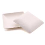 Disposable biodegradable mini sugarcane squared shaped bagasse paper snack