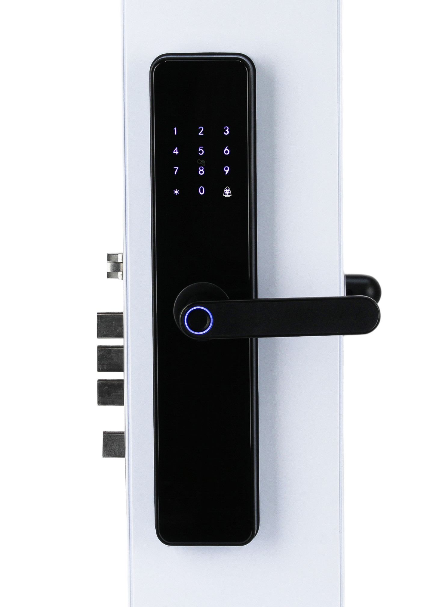 Biometric Fingerprint Door Lock Security Keyless Security Door Locks