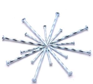 China Spiral Steel Galvanized Construction Concrete Nails Common Iron Nail wholesale