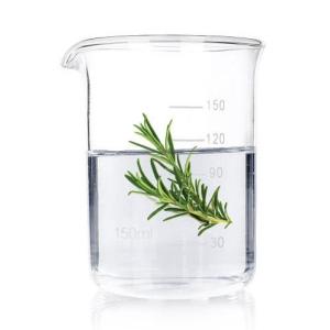 China CAS 84604-14-8 Rosmarinus Officinalis Leaf Water For Skin And Hair Care wholesale