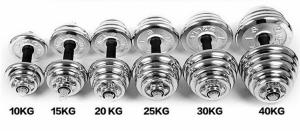 China 10kg 20kg 30kg cast iron solid adjustbale chromed dumbbell for weight sales wholesale