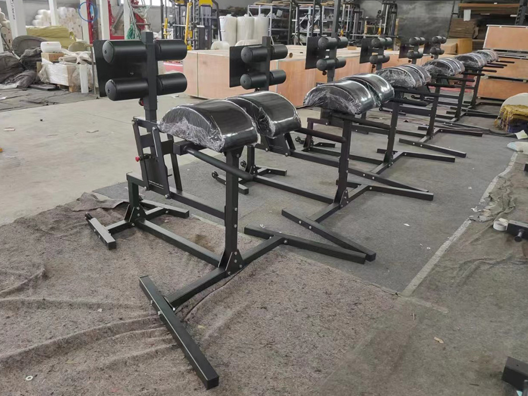Commercial Gym Back Hyperextension GHD Glute Ham Developer Roman Chair