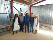 Stainless Steel Automatic Rolled Oats Processing Line for Breakfast Cereal Production